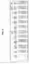 Fig. 05 - METHOD FOR ENDOWING A TAX EXEMPT ORGANIZATION USING A KEY MEMBER AND WHILE INCREASING NET WORTH OF A DONOR