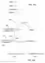 Fig. 07 - EVALUATING RELEVANCE OF RESULTS IN A SEMI-STRUCTURED DATA-BASE SYSTEM