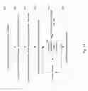 Fig. 12 - Device associated with a user account