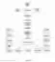 Fig. 20 - MULTIMEDIA DISTRIBUTION APPARATUS AND METHOD
