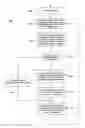 Fig. 01 - Method of designating a future network coordinator