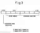 Fig. 04 - Recording medium reproduction device