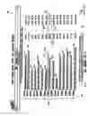 Fig. 02 - Aggregation of reduced-sized images