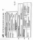 Fig. 07 - Aggregation of reduced-sized images