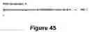 Fig. 44 - Method and apparatus for defining documents