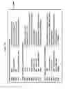 Fig. 15 - Environment for run control of computer programs