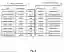 Fig. 09 - Execution control during program code conversion