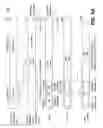 Fig. 13 - Fragmentation of a file for instant access