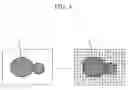 Fig. 05 - Security camera employing privacy protection method