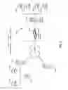 Fig. 03 - Method and apparatus for securing a computer network by multi-layer protocol scanning