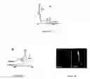 Fig. 06 - Method of disrupting heme transport in nematodes and of modelling and evaluating eukaryotic heme transport