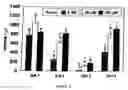 Fig. 10 - Method of disrupting heme transport in nematodes and of modelling and evaluating eukaryotic heme transport