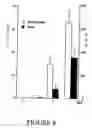 Fig. 10 - Custom-made meganuclease and use thereof