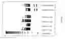 Fig. 05 - Transgenic chickens