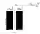 Fig. 09 - Transgenic chickens