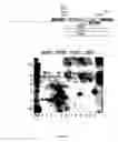 Fig. 11 - Transgenic chickens