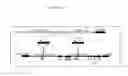 Fig. 19 - Transgenic chickens