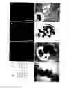 Fig. 01 - Derivation of embryonic stem cells