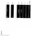 Fig. 06 - Derivation of embryonic stem cells