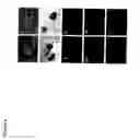 Fig. 07 - Derivation of embryonic stem cells