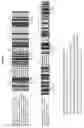 Fig. 03 - Sesquiterpene synthases from patchouli