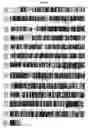 Fig. 07 - Sesquiterpene synthases from patchouli