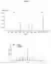 Fig. 08 - Sesquiterpene synthases from patchouli