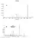 Fig. 09 - Sesquiterpene synthases from patchouli