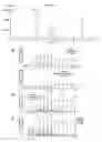 Fig. 10 - Sesquiterpene synthases from patchouli