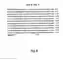 Fig. 08 - Method for the preparation of transgenic plants characterised by geminivirus lasting resistance