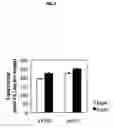 Fig. 04 - Use of genes for increasing the oil content in plants