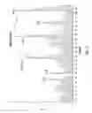 Fig. 12 - Preparation of deallergenized proteins and permuteins