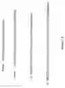 Fig. 15 - Nucleic acid constructs and methods for producing altered seed oil compositions