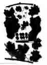 Fig. 02 - Grapevine denominated Black Globe