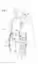 Fig. 02 - Tactical outer protective shorts