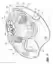 Fig. 07 - Bath apparatus with pressurized fluid massage
