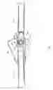 Fig. 08 - Ball and socket joint utilizing a single ball, for driving more than one driven member