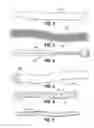 Fig. 03 - Door retaining rod for a doorstop
