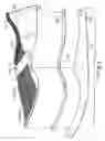 Fig. 04 - Security footwear