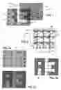 Fig. 02 - Flexible display