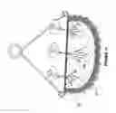 Fig. 06 - Hair felt