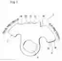 Fig. 02 - Structure for limiting rotational range of manual plate in automatic transmission