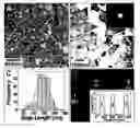 Fig. 01 - Method of producing gold nanoprisms