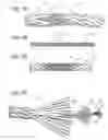 Fig. 02 - Rope