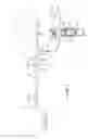 Fig. 08 - Milk pump system