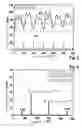 Fig. 04 - Method and device for operating an internal combustion engine
