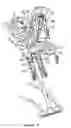 Fig. 05 - Valve mechanism for internal combustion engine
