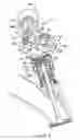 Fig. 07 - Valve mechanism for internal combustion engine