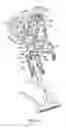 Fig. 10 - Valve mechanism for an internal combustion engine