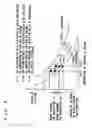 Fig. 04 - Control apparatus for internal combustion engine